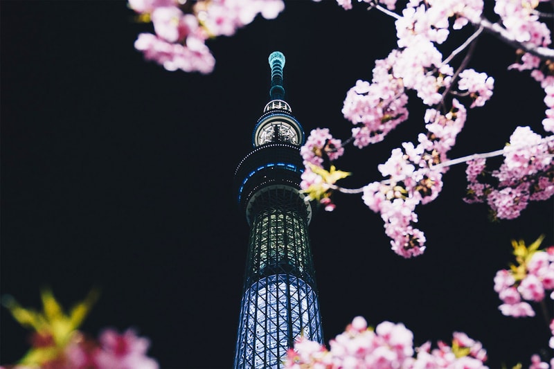 ハイプビースト フォトコンテスト HYPEBEAST JAPAN の新企画 “HBJP Photo Challenge” がスタート 桜 サクラ sakura お花見