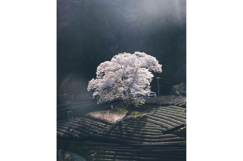 ハイプビースト HYPEBEAST によるフォトコンテスト “HBJP Photo Challenge” 第1回の結果発表