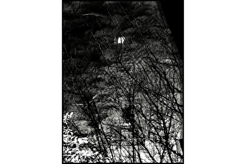 新鋭フォトグラファー・池谷陸　riku ikeya 個展 “Everything is Connected 2