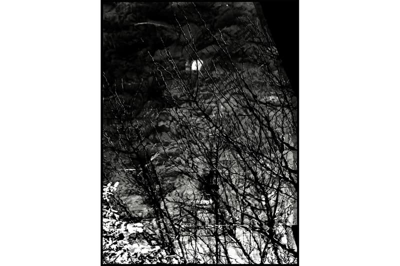 新鋭フォトグラファー・池谷陸 riku ikeya 個展 “Everything is Connected 2