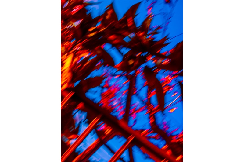 新鋭フォトグラファー・池谷陸　riku ikeya 個展 “Everything is Connected 2