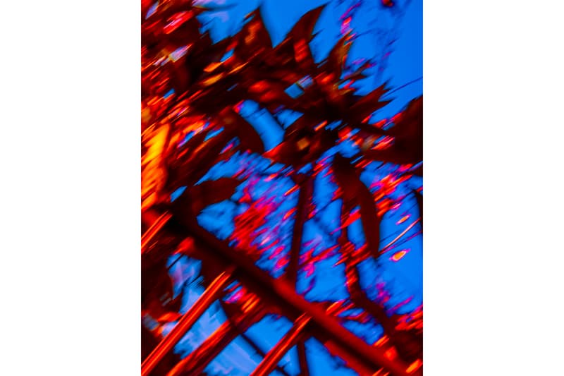 新鋭フォトグラファー・池谷陸 riku ikeya 個展 “Everything is Connected 2