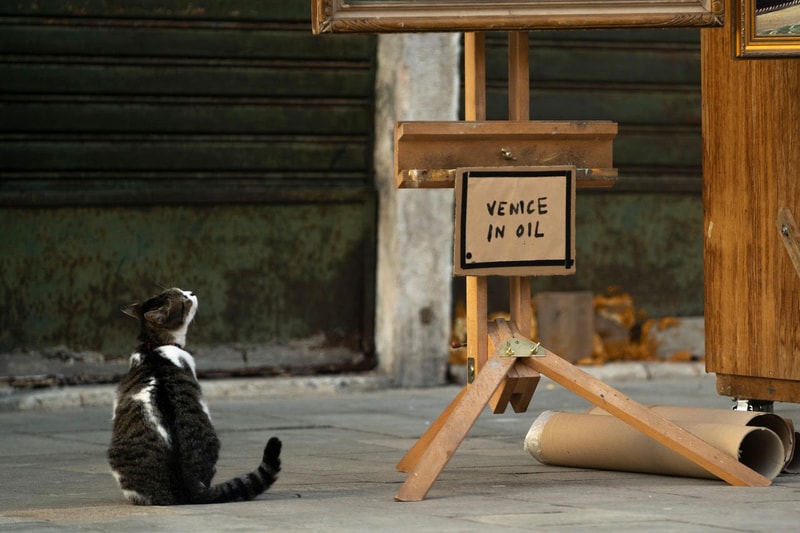 バンクシー banksy ヴェネチア ベネチア ベネツィア イタリア venice biennale installation stall artworks street art murals sculptures