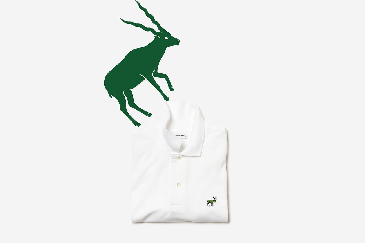 LACOSTE ラコステ ワニ ロゴ 世界各地 絶滅危惧種 限定 ポロシャツ 発売情報 解禁 日本　ウォンバット ギンザ
