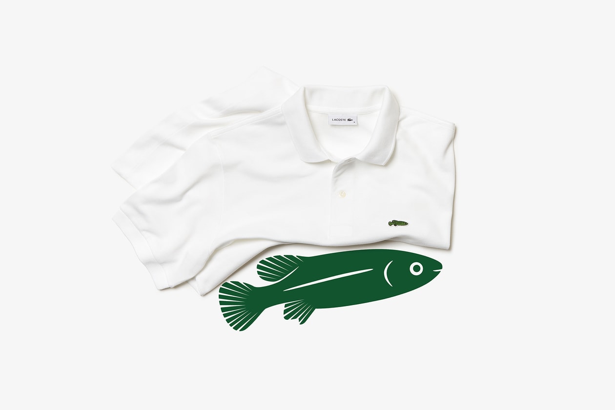 LACOSTE ラコステ ワニ ロゴ 世界各地 絶滅危惧種 限定 ポロシャツ 発売情報 解禁 日本　ウォンバット ギンザ