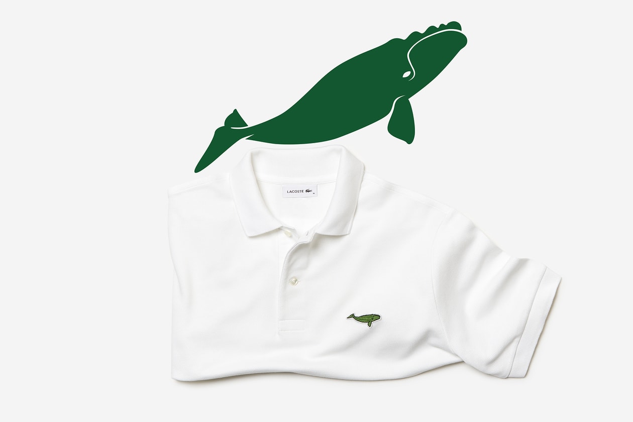LACOSTE ラコステ ワニ ロゴ 世界各地 絶滅危惧種 限定 ポロシャツ 発売情報 解禁 日本　ウォンバット ギンザ