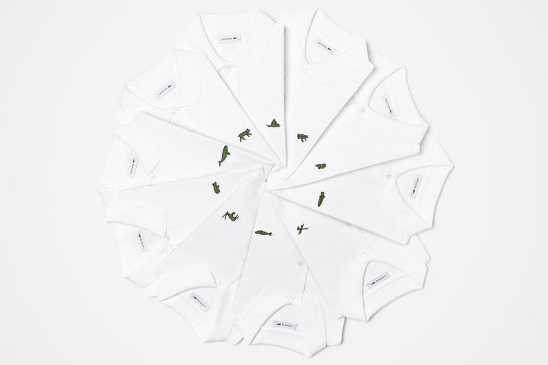 LACOSTE ラコステ ワニ ロゴ 世界各地 絶滅危惧種 限定 ポロシャツ 発売情報 解禁 日本　ウォンバット ギンザ
