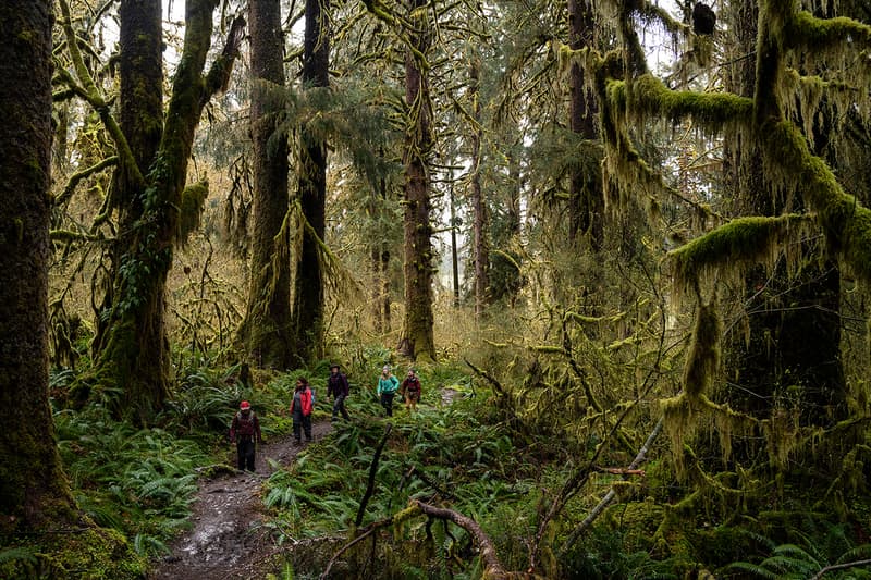 Airbnb エアービアンドビー 参加者 冒険 新たな カテゴリー アドベンチャー 提供 スタート