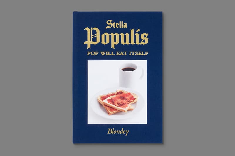 ブロンディ・マッコイ 初 ソロエキシビジョン blondey mccoy stella populis ronchini gallery exhibition artworks paintings prints books plates