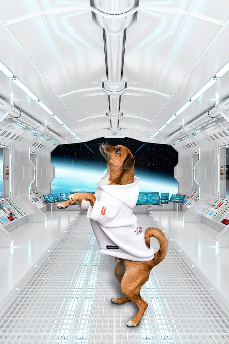 ヘロン プレストン Heron Preston ナサ NASA Very Important Puppies ドッグウェア Dog Collection Release Info