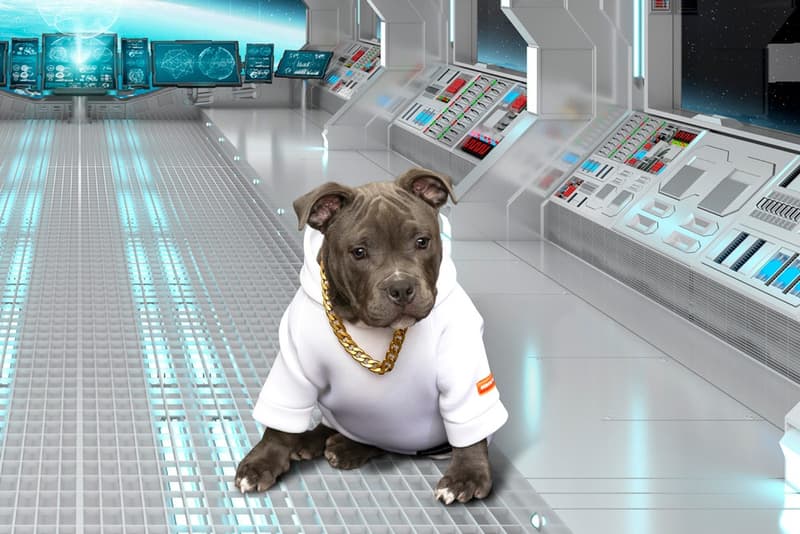 ヘロン プレストン Heron Preston ナサ NASA Very Important Puppies ドッグウェア Dog Collection Release Info