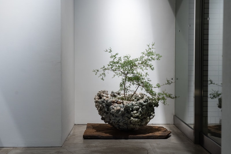 カイカイキキギャラリー 2019 Kaikai Kiki Summer Show 村上隆 Futura フューチュラ Kaikai Kiki Gallery Virgil Abloh ヴァージル・アブロー MADSAKI マサキ Mr. ミスター 青島千穂 James Jean ジェイムズ・ジーン くらやえみ ob オビ 大谷工作室 タカノ綾 TENGAone テンガ・ワン 上田勇児 Ben Edmunds ベン・エドマンズ