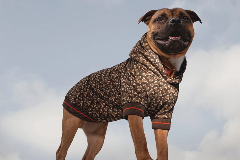 Burberry のマンスリードロップ “B シリーズ”よりリュクス感溢れるドッグ用フーディが登場