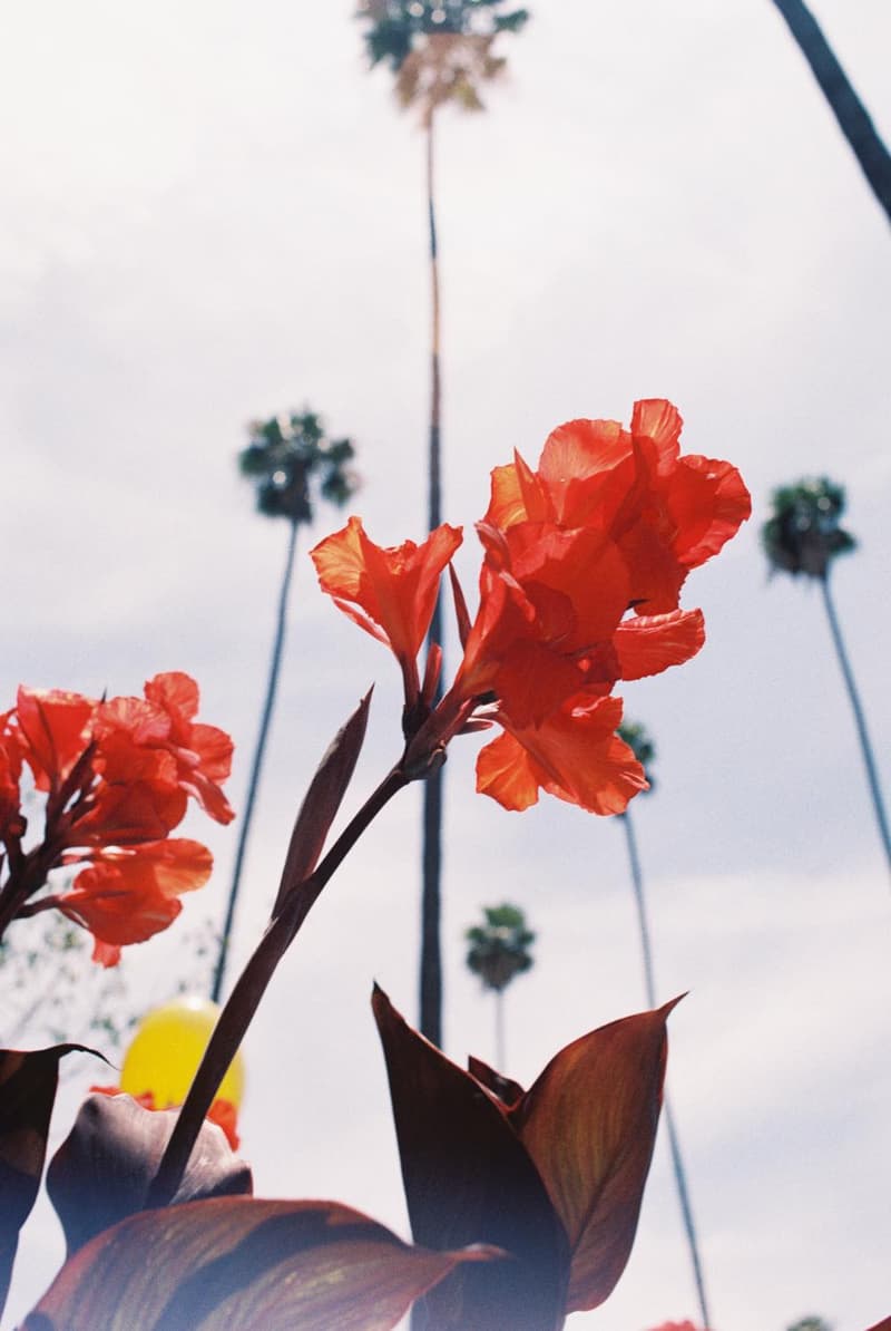 FREAK’S STORE 監修による AIRWALK x GOOD OL’ x F-LAGSTUF-F の限定コレクションが発売