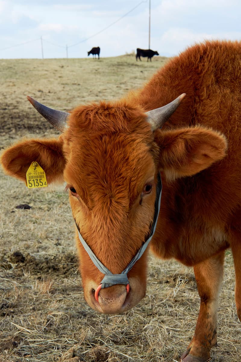 キャプテン サンシャイン KAPTAIN SUNSHINE より上質なオリジナルファブリックを生かした2019年秋冬コレクションのルックブックが到着