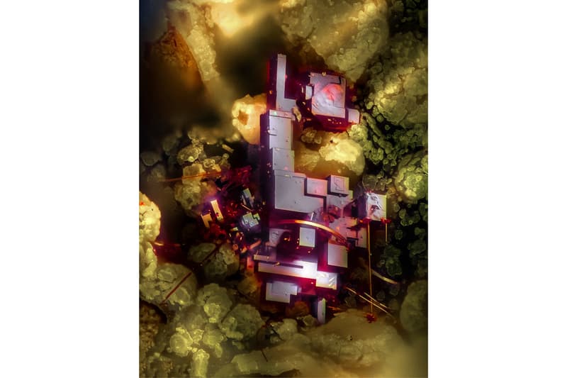 ニコン Nikon が主催する顕微鏡写真コンテスト “2019 Small World Photography Competition” の全受賞作品が発表 nikon small world photography winning images
