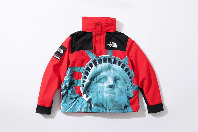 supreme north face winter jacket