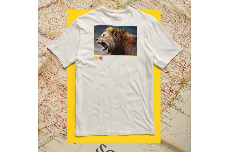 National Geographic と Element Skateboards “ナショジオ”こと『National Geographic（ナショナル ジオグラフィック）エレメント