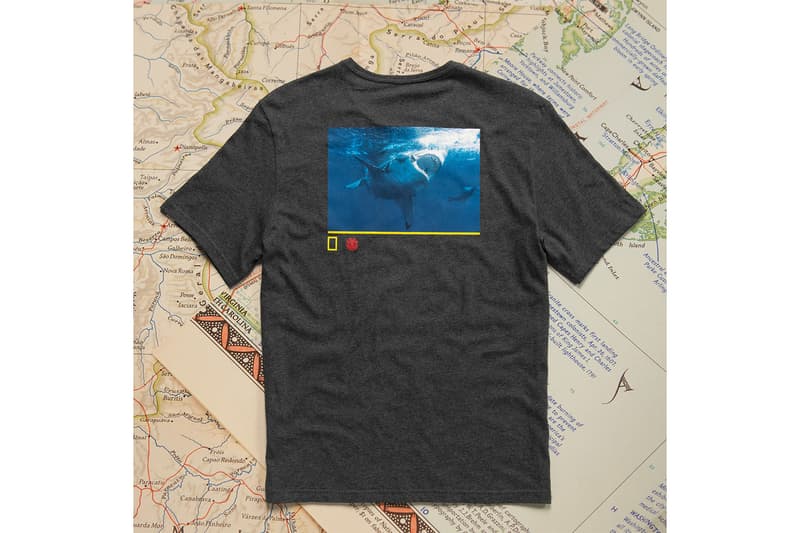 National Geographic と Element Skateboards “ナショジオ”こと『National Geographic(ナショナル ジオグラフィック)エレメント