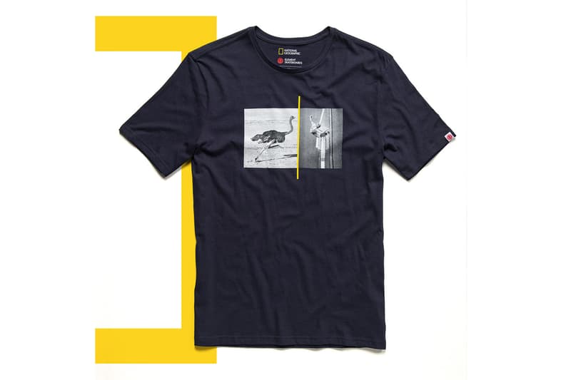 National Geographic と Element Skateboards “ナショジオ”こと『National Geographic(ナショナル ジオグラフィック)エレメント