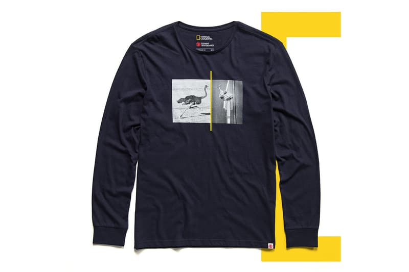 National Geographic と Element Skateboards “ナショジオ”こと『National Geographic（ナショナル ジオグラフィック）エレメント