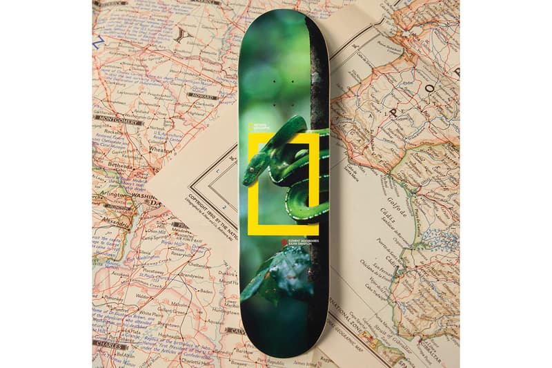 National Geographic と Element Skateboards “ナショジオ”こと『National Geographic(ナショナル ジオグラフィック)エレメント