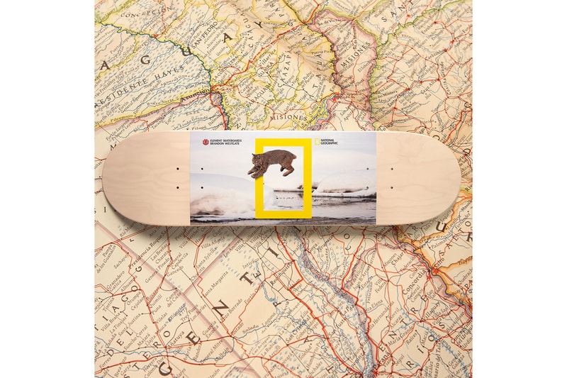 National Geographic と Element Skateboards “ナショジオ”こと『National Geographic（ナショナル ジオグラフィック）エレメント