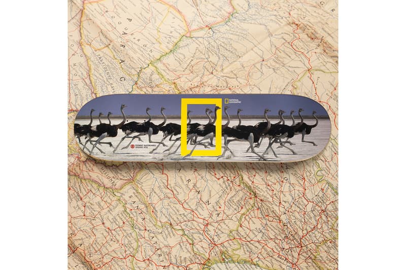 National Geographic と Element Skateboards “ナショジオ”こと『National Geographic（ナショナル ジオグラフィック）エレメント