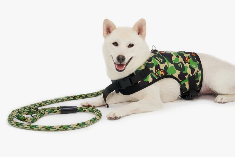 BAPE®️から2019年秋冬ペットコレクションが登場 Baby Milo Pet Accessories Fall/Winter 2019 dogs cats camo print bape a bathing ape beds bags toys ape head