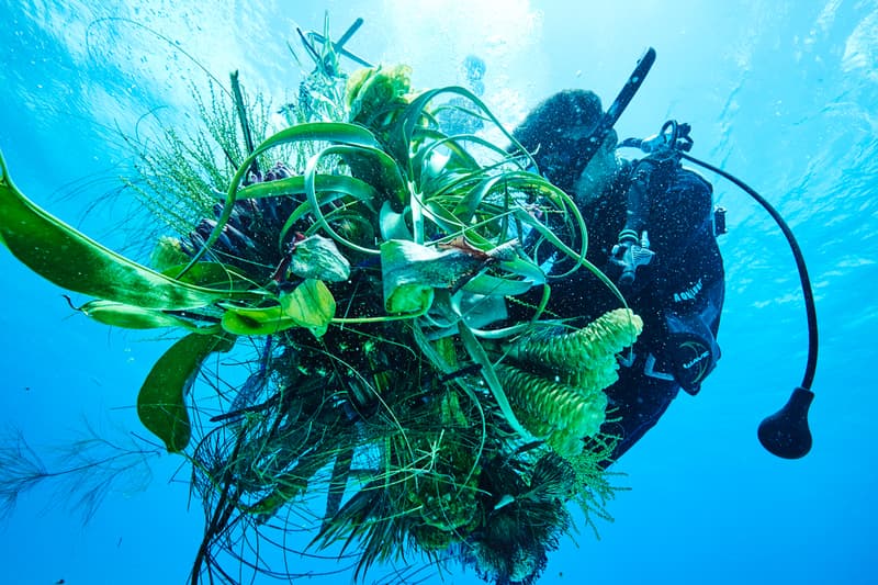 azuma makoto amkk 東信 flower and man photography 写真 アートワーク series project installation パフォーマンス アート 男 と 花  performance