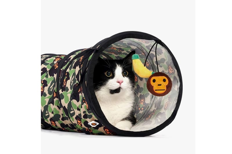BAPE®️ から2019年秋冬ペットコレクションが登場