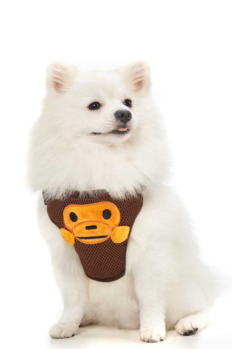 BAPE®️から2019年秋冬ペットコレクションが登場 Baby Milo Pet Accessories Fall/Winter 2019 dogs cats camo print bape a bathing ape beds bags toys ape head