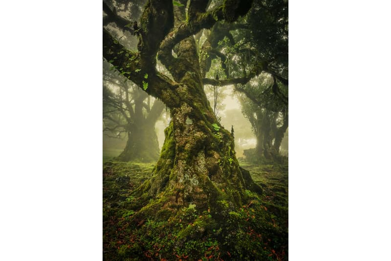 国際的な風景写真コンテスト”International Landscape Photographer of the Year”が2019年度の受賞者リストを発表 international landscape photographer of the year winning photos photography photographers visuals pics landscape contemporary fine art 