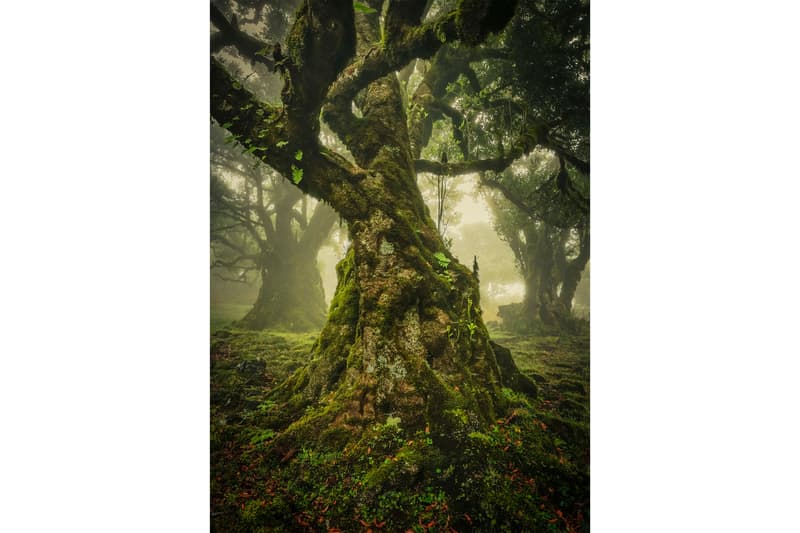 国際的な風景写真コンテスト”International Landscape Photographer of the Year”が2019年度の受賞者リストを発表 international landscape photographer of the year winning photos photography photographers visuals pics landscape contemporary fine art