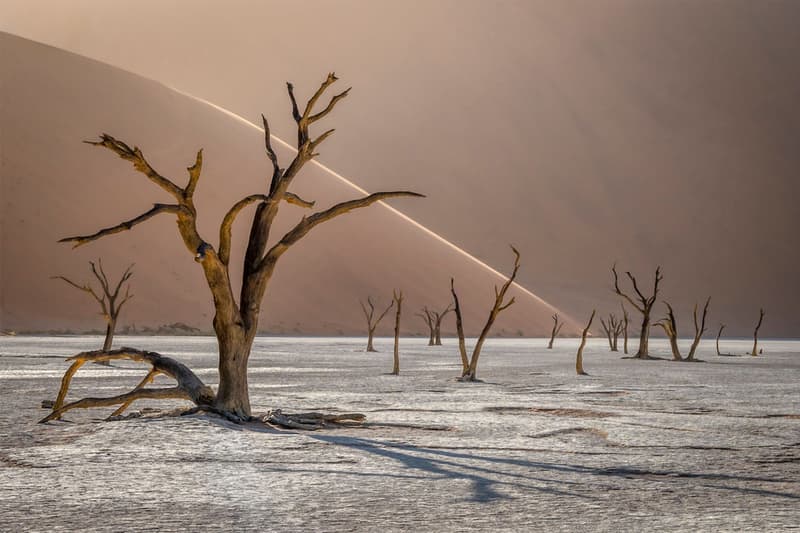 国際的な風景写真コンテスト”International Landscape Photographer of the Year”が2019年度の受賞者リストを発表 international landscape photographer of the year winning photos photography photographers visuals pics landscape contemporary fine art