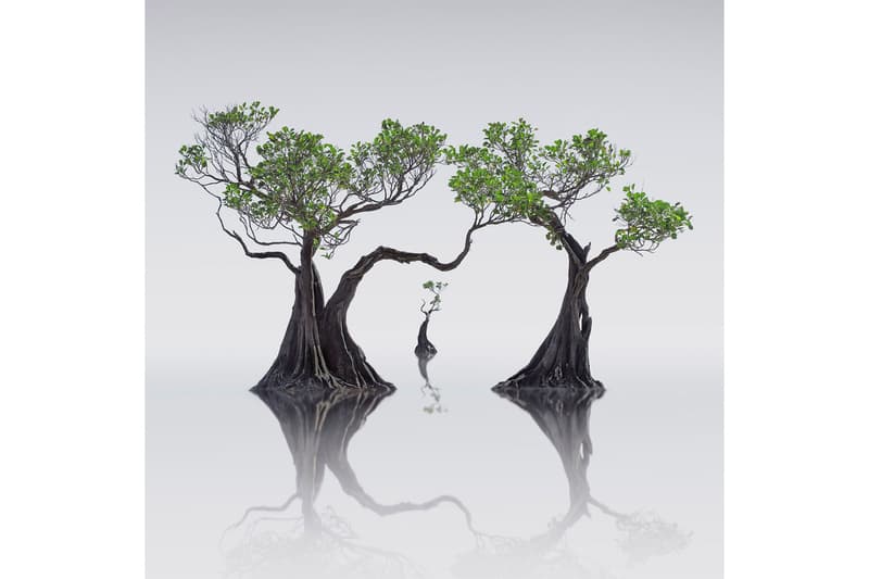 国際的な風景写真コンテスト”International Landscape Photographer of the Year”が2019年度の受賞者リストを発表 international landscape photographer of the year winning photos photography photographers visuals pics landscape contemporary fine art 