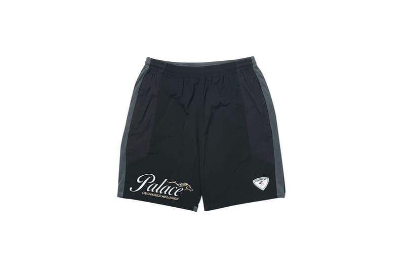 パレススケートボード PALACE SKATEBOARDS 2020年春コレクション 発売アイテム一覧 - Week 10