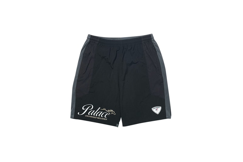 パレススケートボード PALACE SKATEBOARDS 2020年春コレクション 発売アイテム一覧 - Week 10