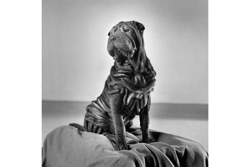 Paris Photo が 1,200点以上に及ぶ写真作品をオンライン・ビューイング・ルームで公開 paris photo online viewing room exhibitors photographs