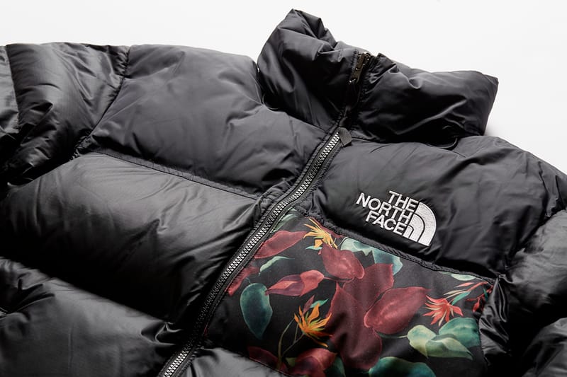 the north face earth jacket