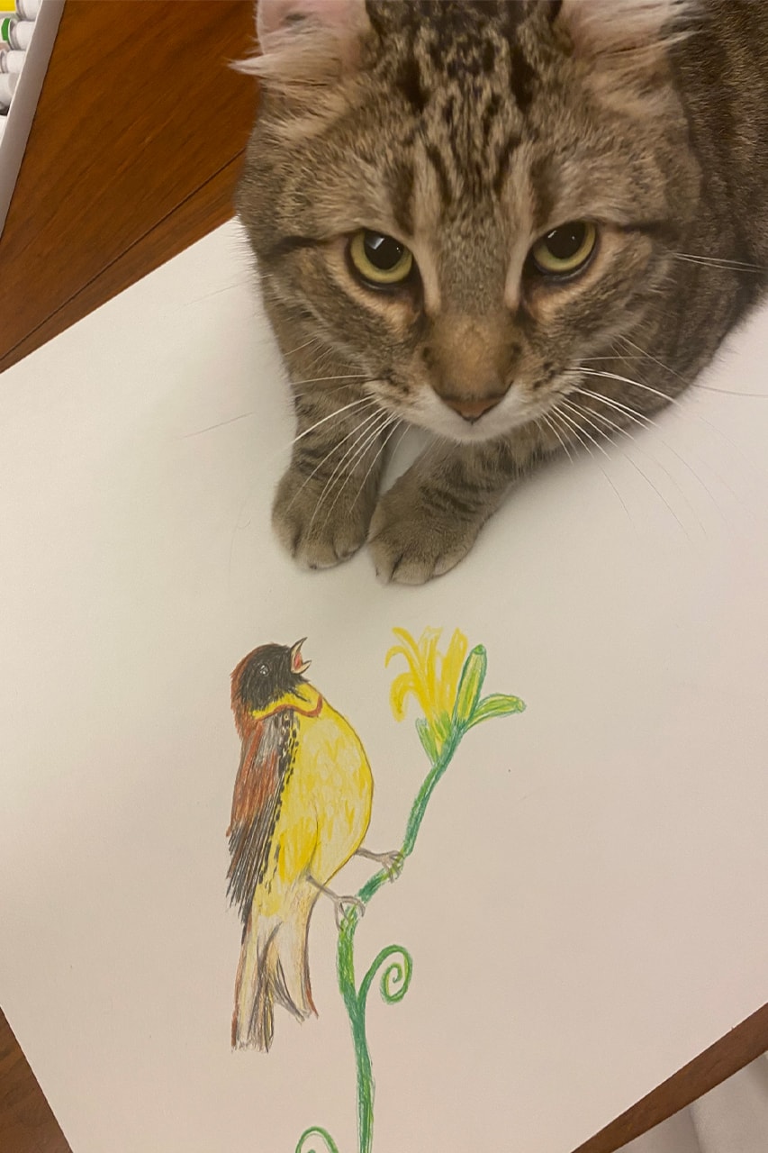 Stay Home Snaps：水原佑果 ステイホームスナップ Yuka Mizuhara みずはらゆか