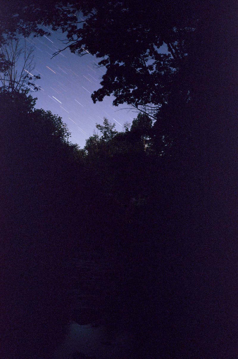 モンマルトル ニューヨーク2021年春夏コレクション MONTMARTRE NEW YORK Spring Summer 2021 collection info