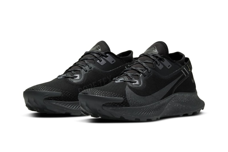 ナイキがペガサス トレイル 2 ゴアテックスを発売 Nike が防水性とクッション性を兼ね備えた Pegasus Trail 2 GORE-TEX を発売