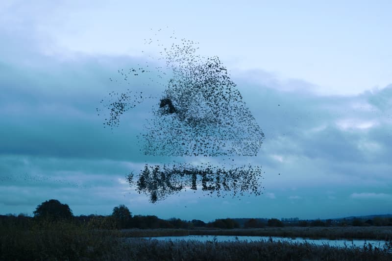 パレスとアークテリクスがコラボコレクションを発表 palace skateboards arcteryx fall winter 2020 release information where to buy GORE-TEX climbing skating