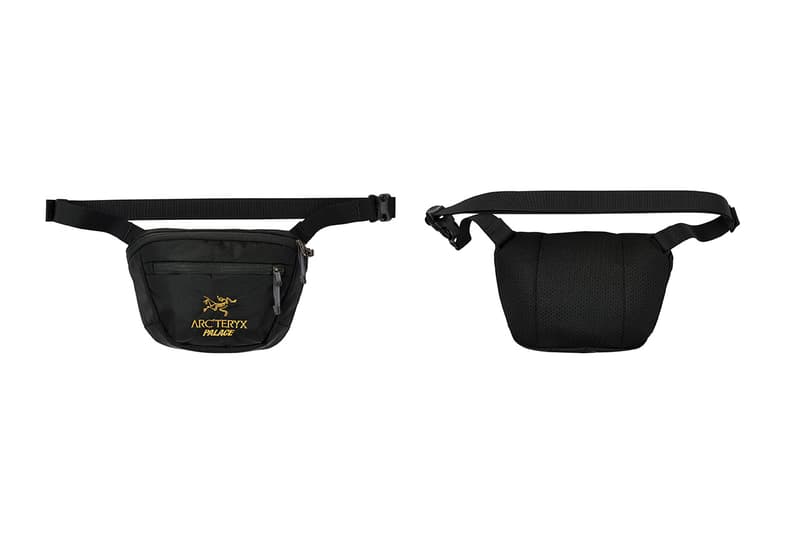 パレスとアークテリクスがコラボコレクションを発表 palace skateboards arcteryx fall winter 2020 release information where to buy GORE-TEX climbing skating