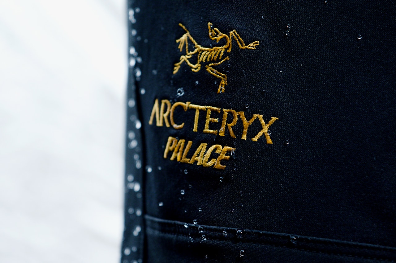 パレスとアークテリクスがコラボコレクションを発表 palace skateboards arcteryx fall winter 2020 release information where to buy GORE-TEX climbing skating