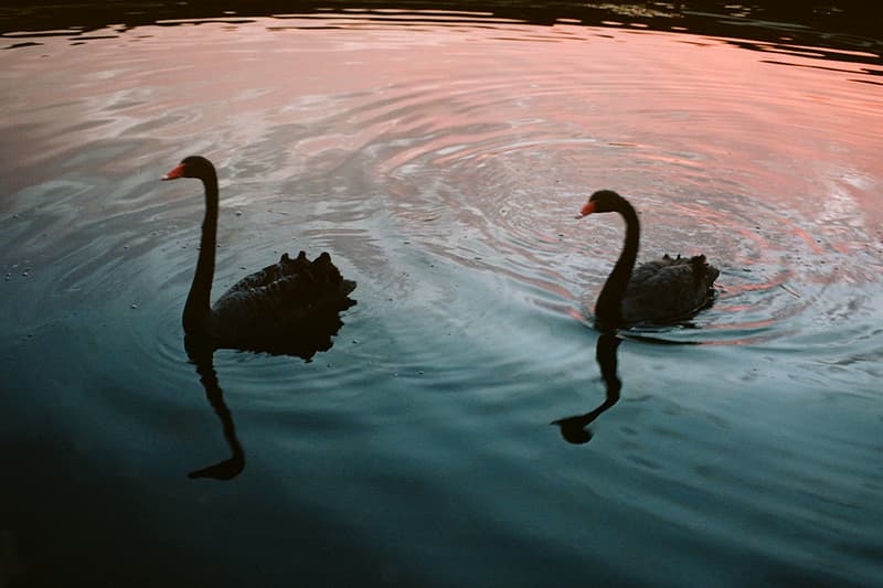 ザ ニューオリジナルズ 2021年春夏コレクション the new originals ss21 spring summer 2021 release information brain games chess