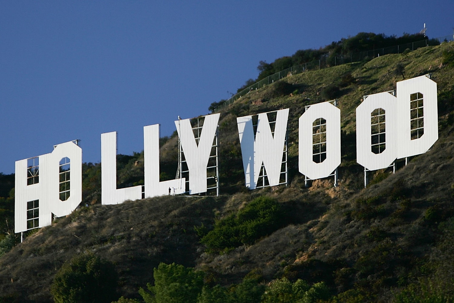 ハリウッドサインが ハリ“ブーブ に悪戯される Hollywood Sign Hollyboob Breast Cancer Awareness Stunt Info Julia Rose Who Model Why Arrested 