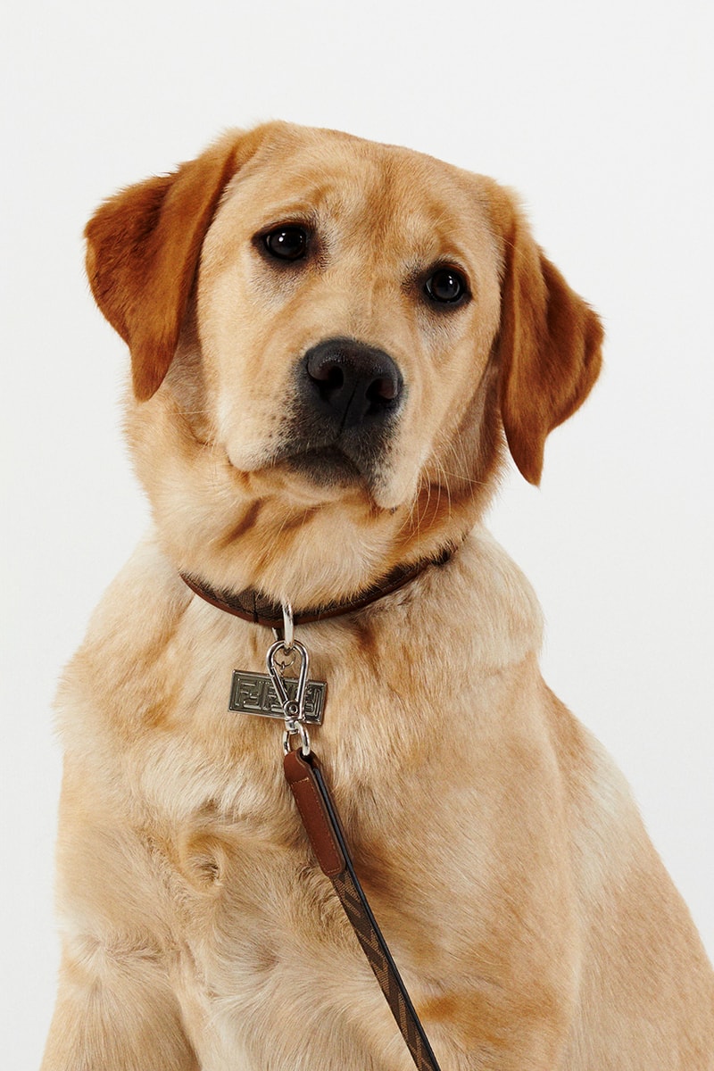 フェンディ FENDI が愛犬のためのアクセサリーコレクションを発売