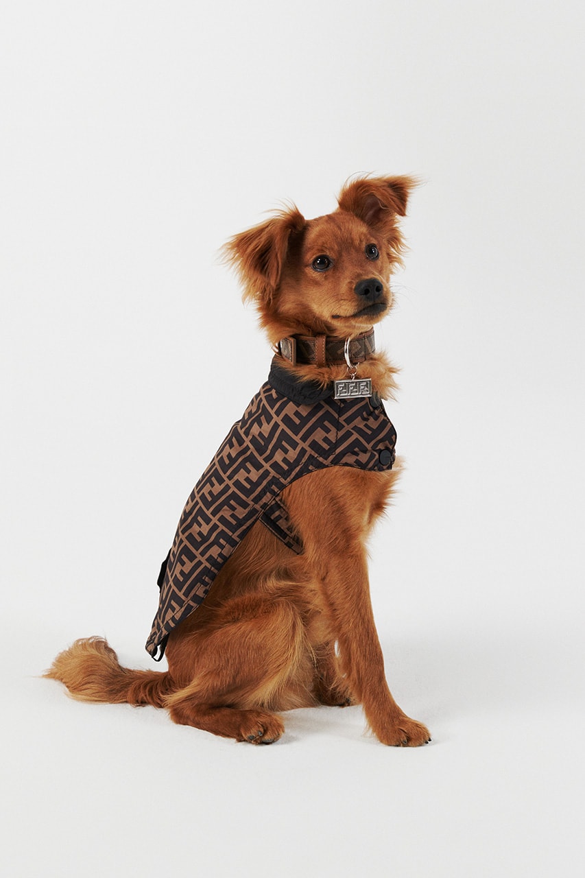 フェンディ FENDI が愛犬のためのアクセサリーコレクションを発売